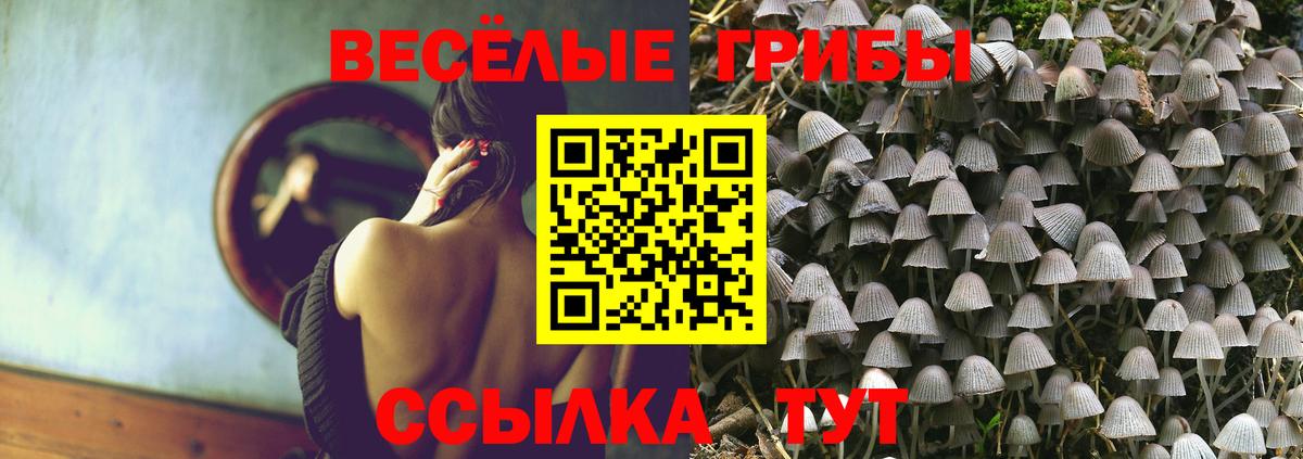 Галлюциногенные грибы мухоморы Старая Русса
