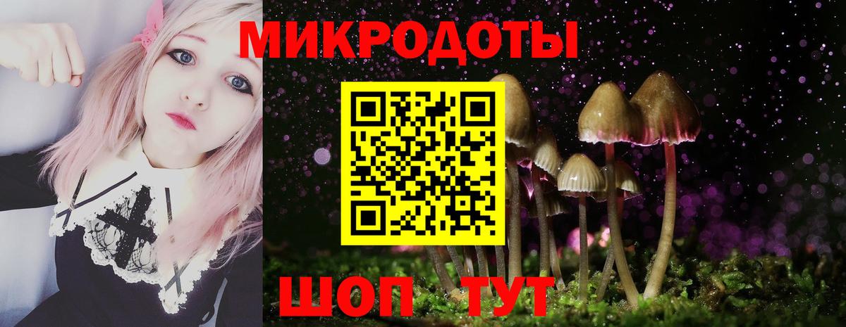 Псилоцибиновые грибы Psilocybe  Вход с VPN  Галлюциногенные грибы Magic Shrooms  Старая Русса 